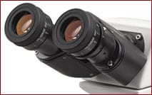 WF10x focusable eyepieces with a 20mm field of view
