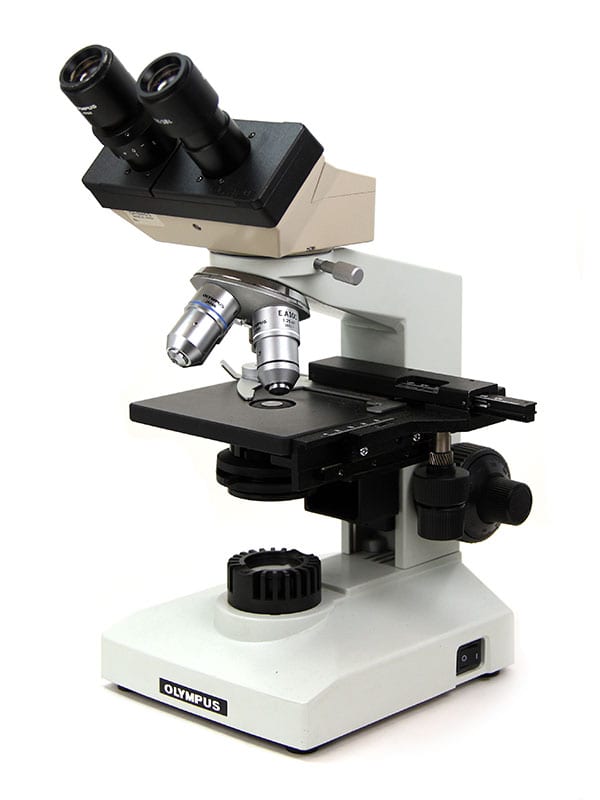 catch a cold calf Empty the trash Olympus CHK Compound Microscope | New York Microscope Store