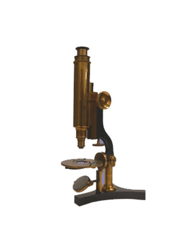 Queen Company Brass Antique Vintage Microscope with Black Base - Micro-Optics New York