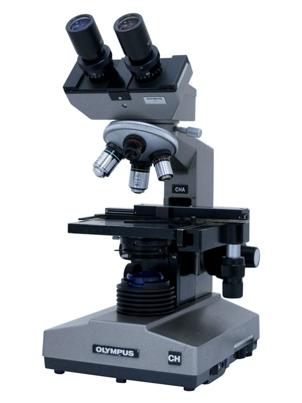 Pre-Owned CHA Compound Microscope | New York Microscope Store